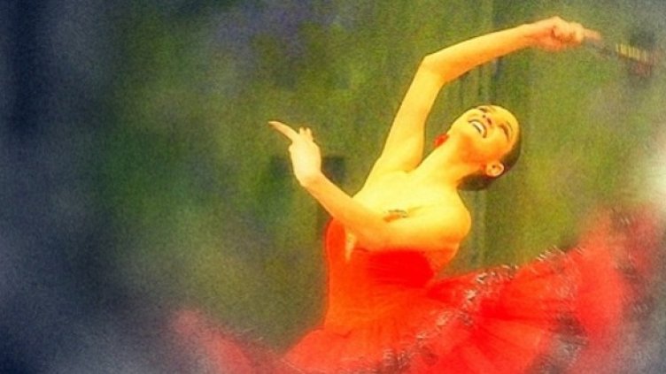 Снимка: „Звездите на българския балет”