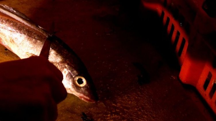 Снимка: архив, Reuters