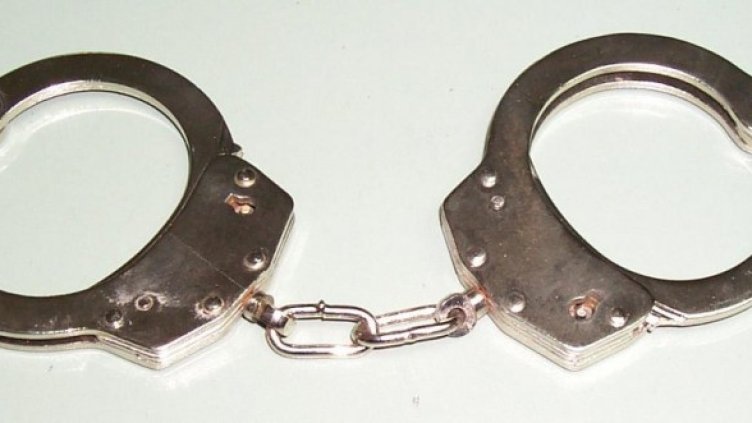 Съветът на Европа публикува доклад за полицейското насилие в България. Снимка: архив, Булфото