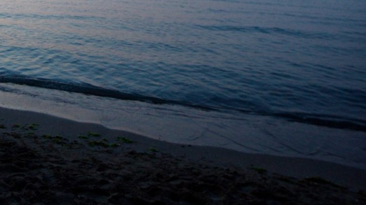 Румънският външен министър Кристиан Дяконеску заяви, че съществува спорна зона между Румъния и България по отношение на държавната граница. Снимка: архив, Reuters