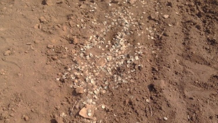 Част от разпилените византийски монети. Снимка: МВР