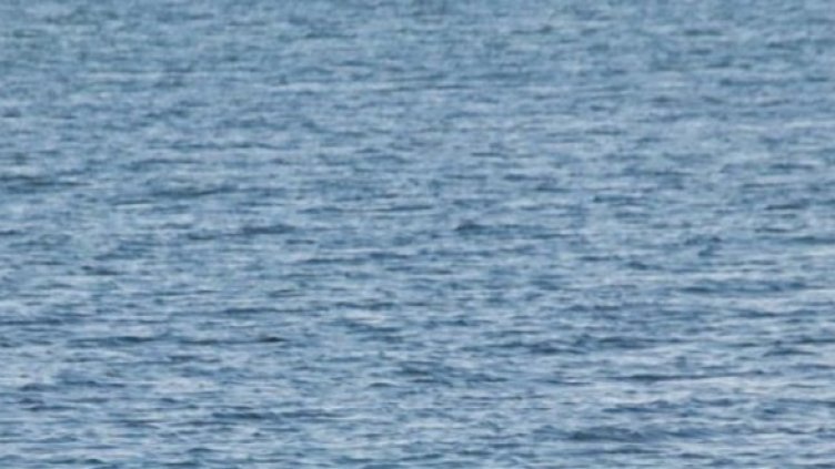 Според дипломатически източници спорният участък между Румъния и България се намира на пътя на газопровода "Южен поток". Снимка: архив, Булфото