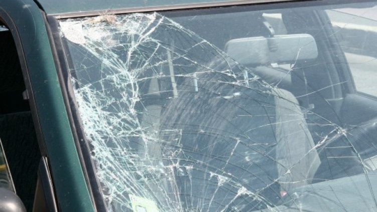 Снимка: Impact Press Group