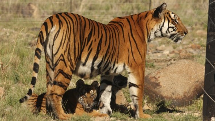 Снимка: Архив Ройтерс