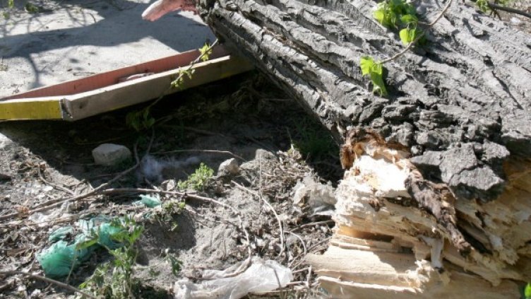 Снимка: Impact Press Grouр