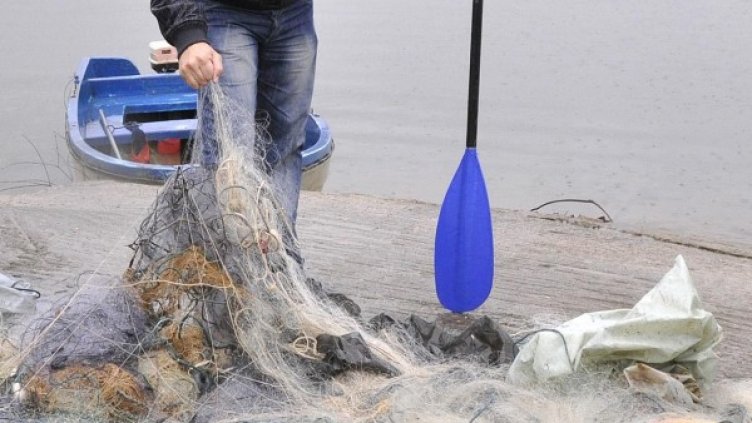 Снимка: Архив Булфото