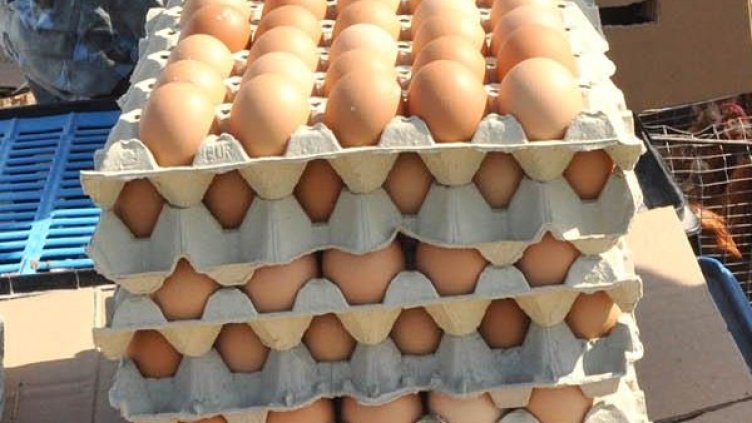 Яйцата поевтиняха преди Великден. Снимка: Булфото