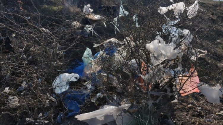 Мила столична картинка между блоковете. Снимка: Булфото