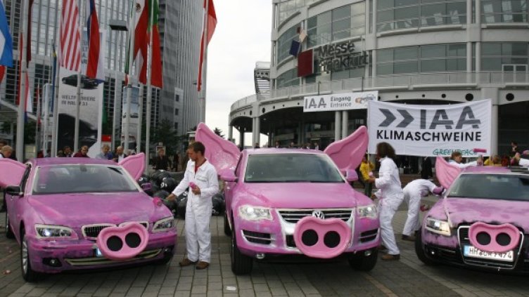 Розовите коли са най-безопасни. Снимка: Reuters