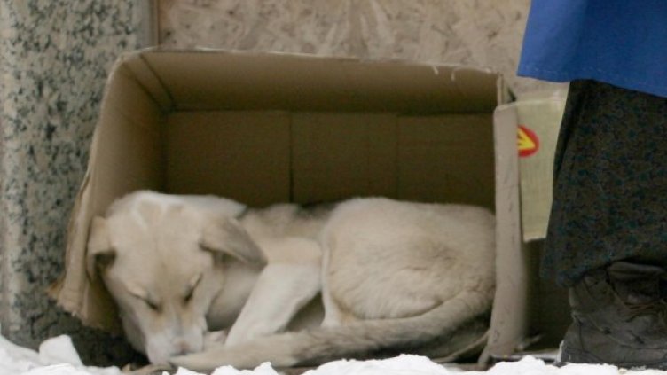 Ще бъдат изградени депа за временно настаняване. Снимка: Impact press group