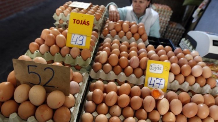 Сергия със скъпи яйца в Будапеща. Снимка: Reuters