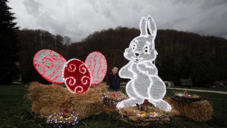 Великденските зайци може би ще изчезнат от Австралия. Снимка: Reuters