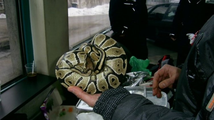 Снимка: Агенция Митници