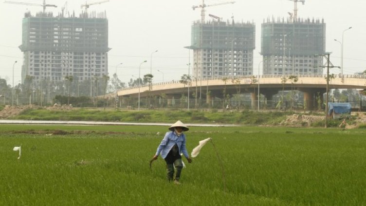 Мъж работи на оризово поле близо до столицата на Виетнам Ханой. Снимка: архив, Reuters