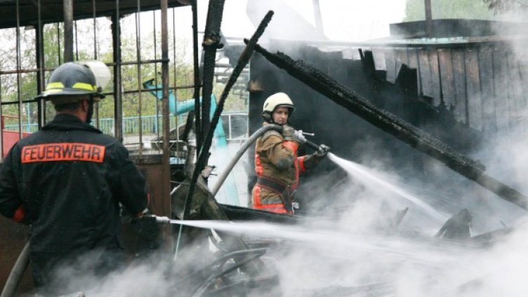 Снимка: Булфото