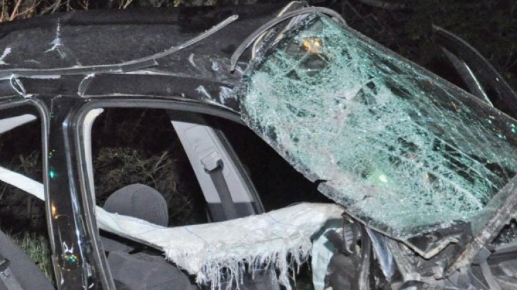 Снимка: архив Булфото