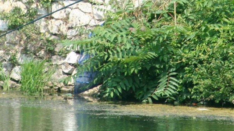 Снимка: Булфото