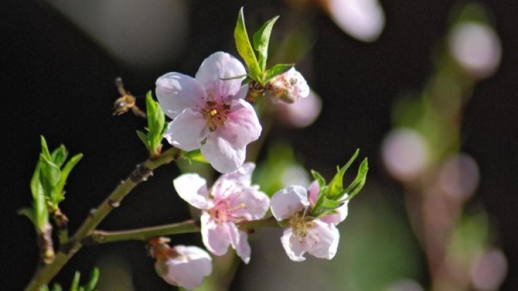 Рекордна температура от 29.5 градуса беше измерена в Силистра. Снимка: архив, Булфото