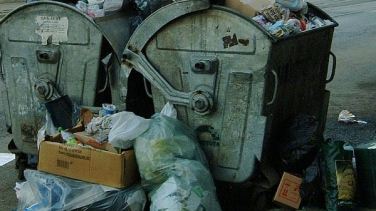 Снимка: Архив Булфото