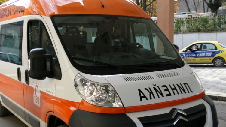 Снимка: Impact Press Group