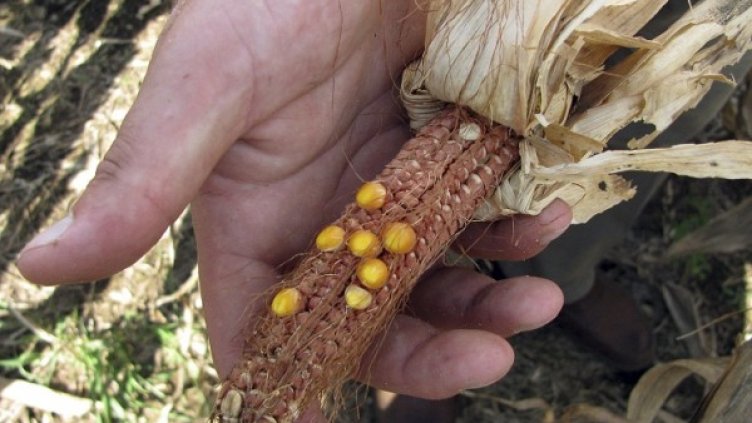 Снимка: архив Reuters