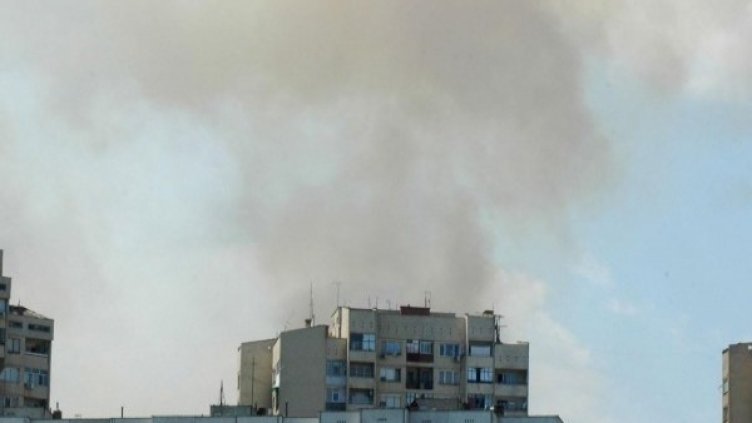 Снимка: Архив Булфото