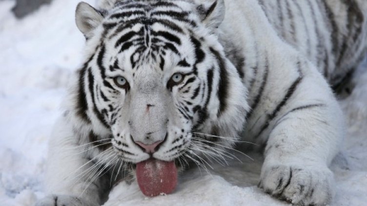 Снимка: Reuters