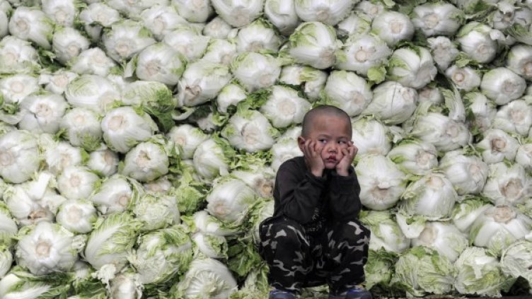 Продавачите на зеле в Китай бяха заловени, че го пръскат с формалдехид. Снимка: архив, Reuters