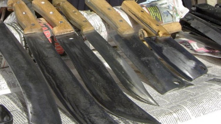 Снимка: Bulphoto