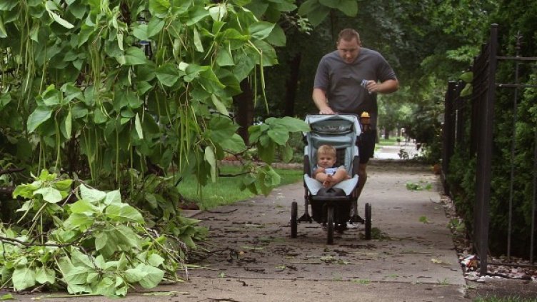 Австралийците предпочитали кариерата пред количката. Снимка: Getty Images/Guliver Photos
