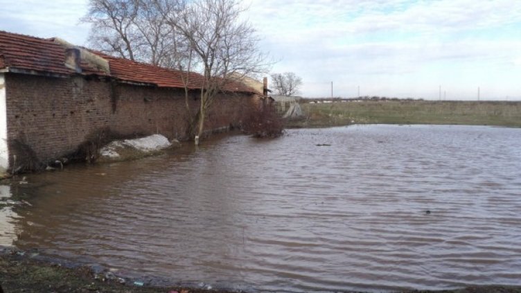 Снимка: архив, Булфото