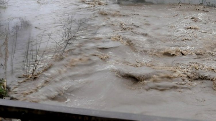 Снимка: архив, Булфото