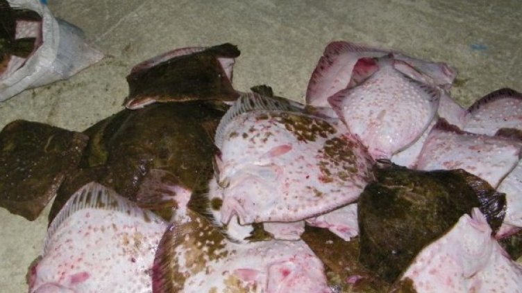 Част от контрабандния улов. Снимка: Гранична полиция