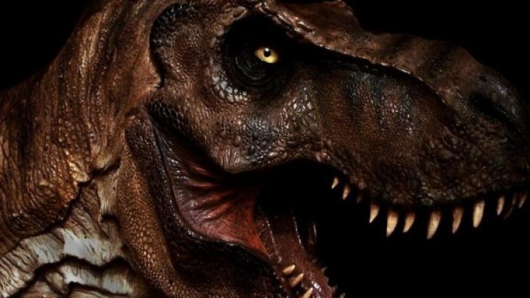 Тайлър Голд иска да е свиреп като тиранозавър и затова си сменил името. Снимка: National Geographic