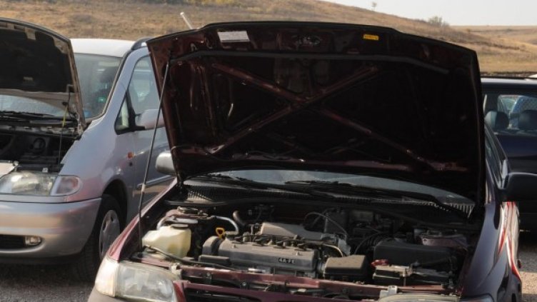 Снимка: архив, Булфото