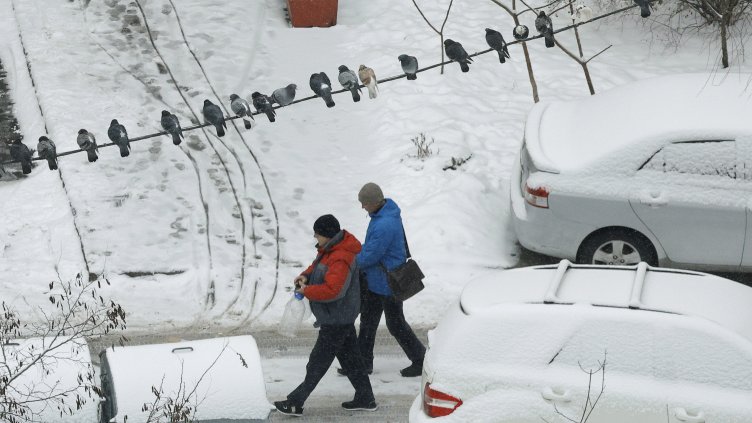 Снимка: архив, БГНЕС