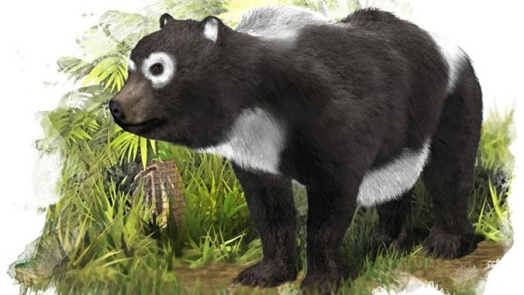 Снимка: National Geographic