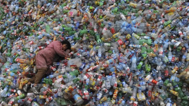 Заради апетита на еквадорската гъба тази жена може и да спи на твърдо.Снимка: Reuters