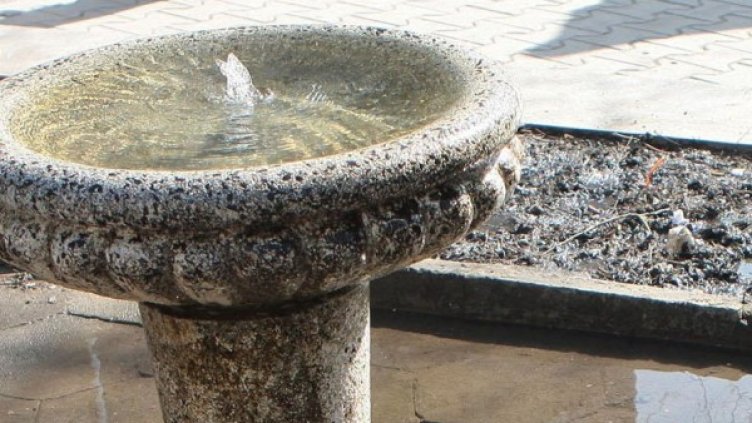 Снимка: архив, Булфото