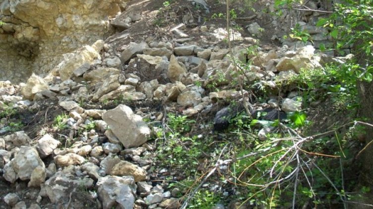 Снимка: Bulphoto