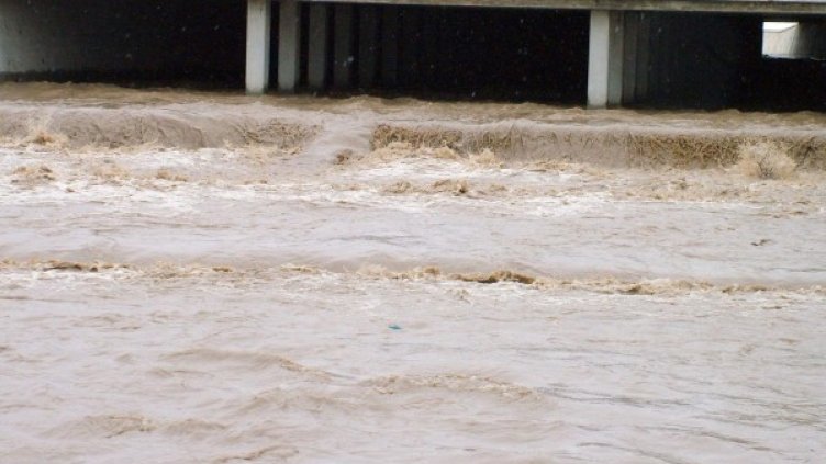 Снимка: Bulphoto