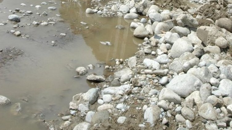 Снимка: Архив Булфото