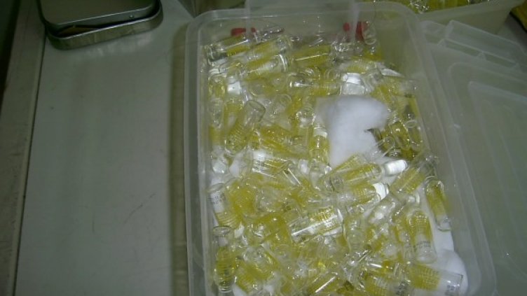 Снимка: Агенция "Митници"