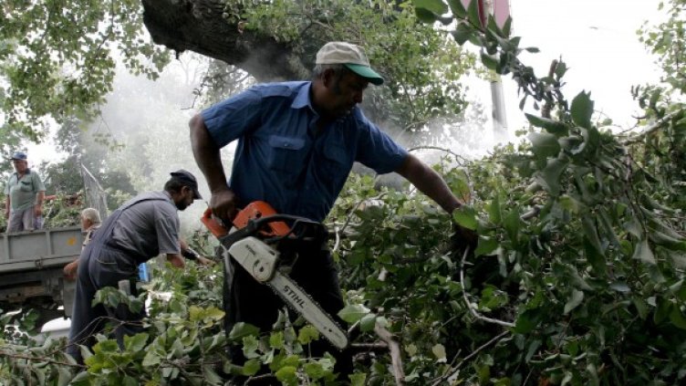 Снимка: Impact Press Group