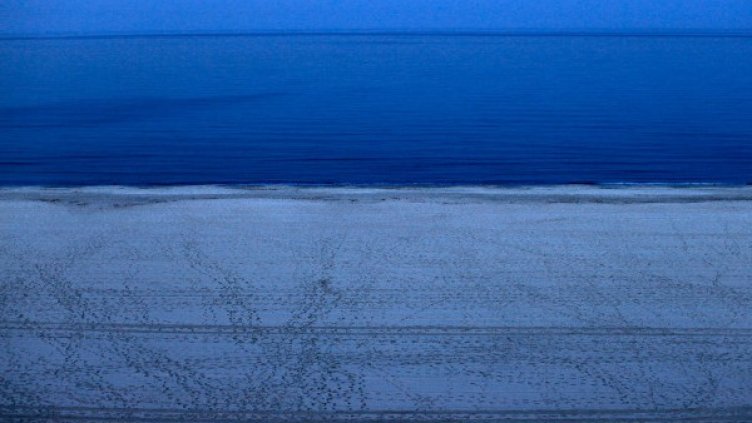 Снимка: архив, Reuters