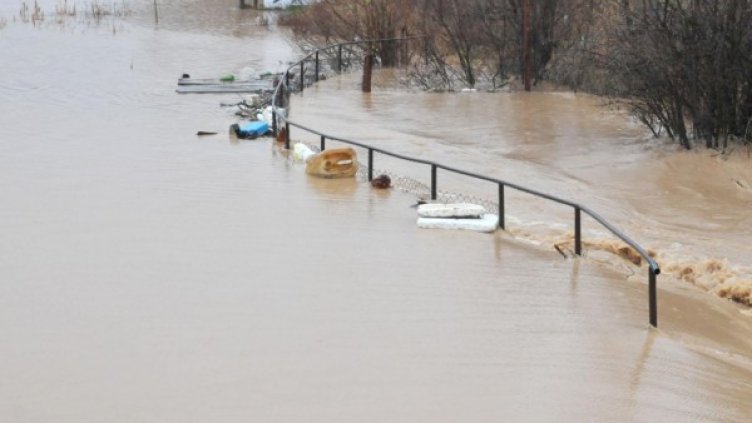 Снимка: Архив Булфото