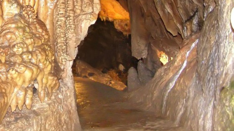 Доброволци измъкнаха 258 гуми от пещера "Яровете". Снимка: Архив Булфото