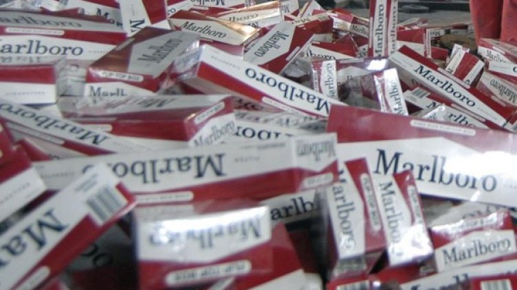 Снимка: архив Булфото