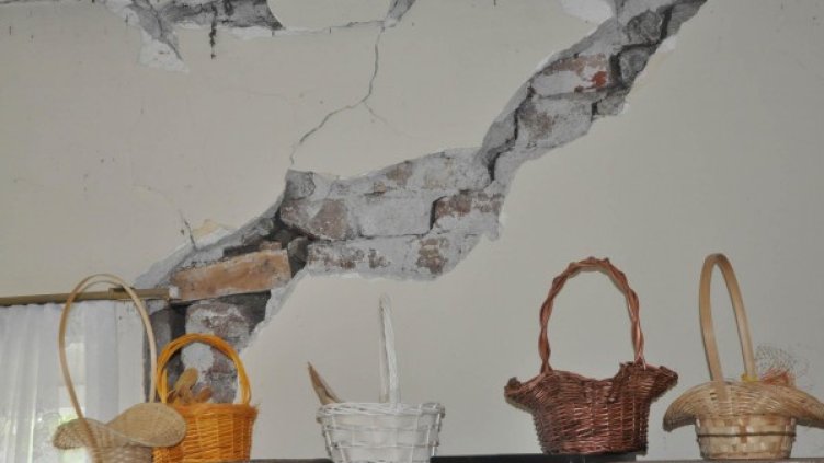 Снимка: Булфото