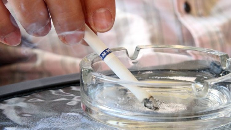 Снимка: Impact Press Group